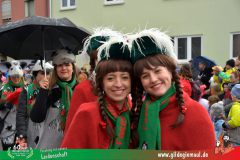 2026_Faschingszug_Heidingsfeld-055