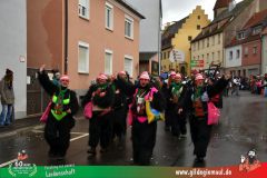 2026_Faschingszug_Heidingsfeld-059