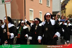 2026_Faschingszug_Heidingsfeld-060