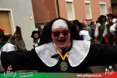 2026_Faschingszug_Heidingsfeld-061