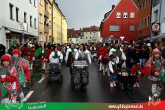 2026_Faschingszug_Heidingsfeld-066