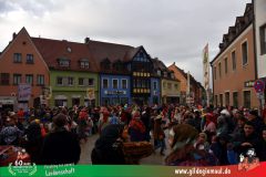2026_Faschingszug_Heidingsfeld-068