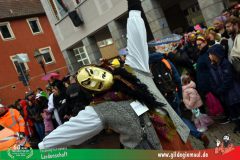 2026_Faschingszug_Heidingsfeld-069