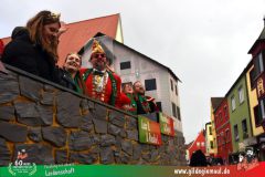 2026_Faschingszug_Heidingsfeld-071