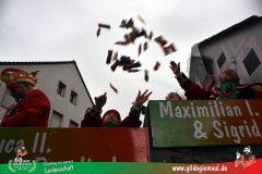 2026_Faschingszug_Heidingsfeld-073