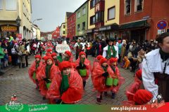 2026_Faschingszug_Heidingsfeld-075