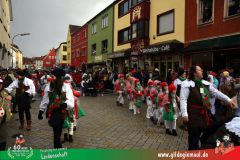 2026_Faschingszug_Heidingsfeld-076