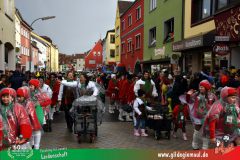 2026_Faschingszug_Heidingsfeld-077