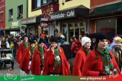 2026_Faschingszug_Heidingsfeld-079