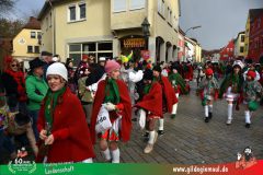 2026_Faschingszug_Heidingsfeld-080