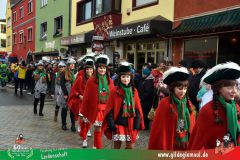 2026_Faschingszug_Heidingsfeld-083