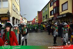 2026_Faschingszug_Heidingsfeld-085