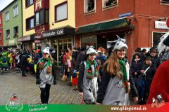 2026_Faschingszug_Heidingsfeld-086