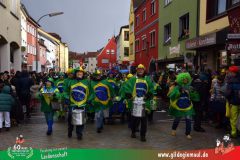 2026_Faschingszug_Heidingsfeld-088