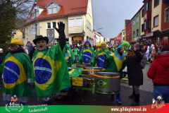 2026_Faschingszug_Heidingsfeld-090