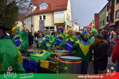 2026_Faschingszug_Heidingsfeld-091