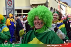 2026_Faschingszug_Heidingsfeld-092