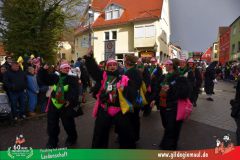 2026_Faschingszug_Heidingsfeld-095
