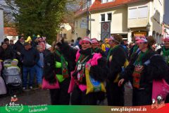 2026_Faschingszug_Heidingsfeld-096