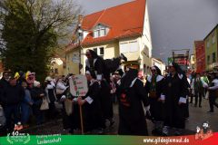 2026_Faschingszug_Heidingsfeld-099