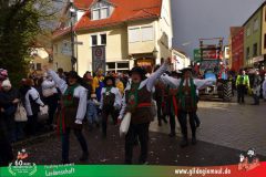 2026_Faschingszug_Heidingsfeld-100