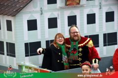 2026_Faschingszug_Heidingsfeld-109