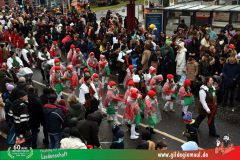 2026_Faschingszug_Heidingsfeld-112