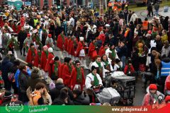2026_Faschingszug_Heidingsfeld-113