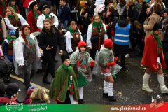 2026_Faschingszug_Heidingsfeld-114