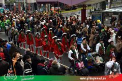 2026_Faschingszug_Heidingsfeld-117