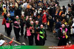 2026_Faschingszug_Heidingsfeld-121