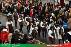 2026_Faschingszug_Heidingsfeld-125