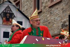 2026_Faschingszug_Heidingsfeld-139