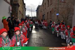 2026_Faschingszug_Heidingsfeld-141