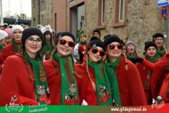 2026_Faschingszug_Heidingsfeld-143