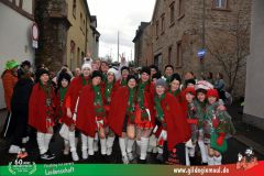 2026_Faschingszug_Heidingsfeld-144