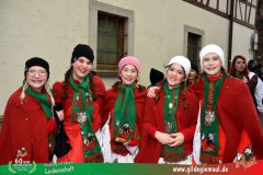 2026_Faschingszug_Heidingsfeld-147