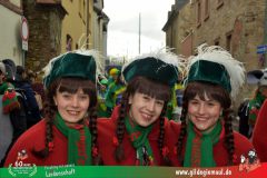 2026_Faschingszug_Heidingsfeld-148