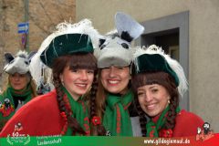 2026_Faschingszug_Heidingsfeld-149
