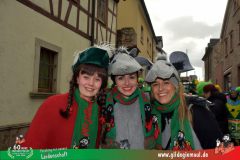 2026_Faschingszug_Heidingsfeld-151