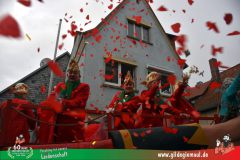 2026_Faschingszug_Heidingsfeld-166
