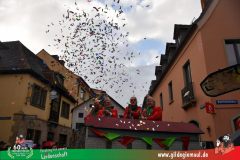 2026_Faschingszug_Heidingsfeld-169