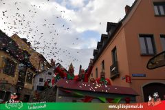 2026_Faschingszug_Heidingsfeld-170