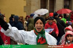 2026_Faschingszug_Heidingsfeld-175