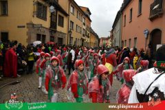 2026_Faschingszug_Heidingsfeld-176