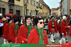2026_Faschingszug_Heidingsfeld-177