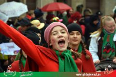 2026_Faschingszug_Heidingsfeld-178