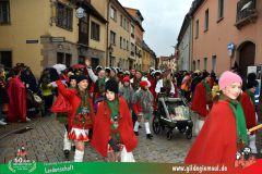 2026_Faschingszug_Heidingsfeld-179