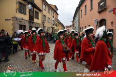 2026_Faschingszug_Heidingsfeld-182