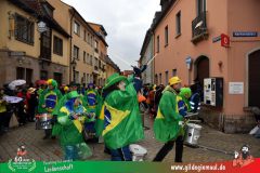 2026_Faschingszug_Heidingsfeld-184